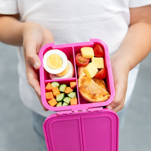 Snack Size Bento Boxes