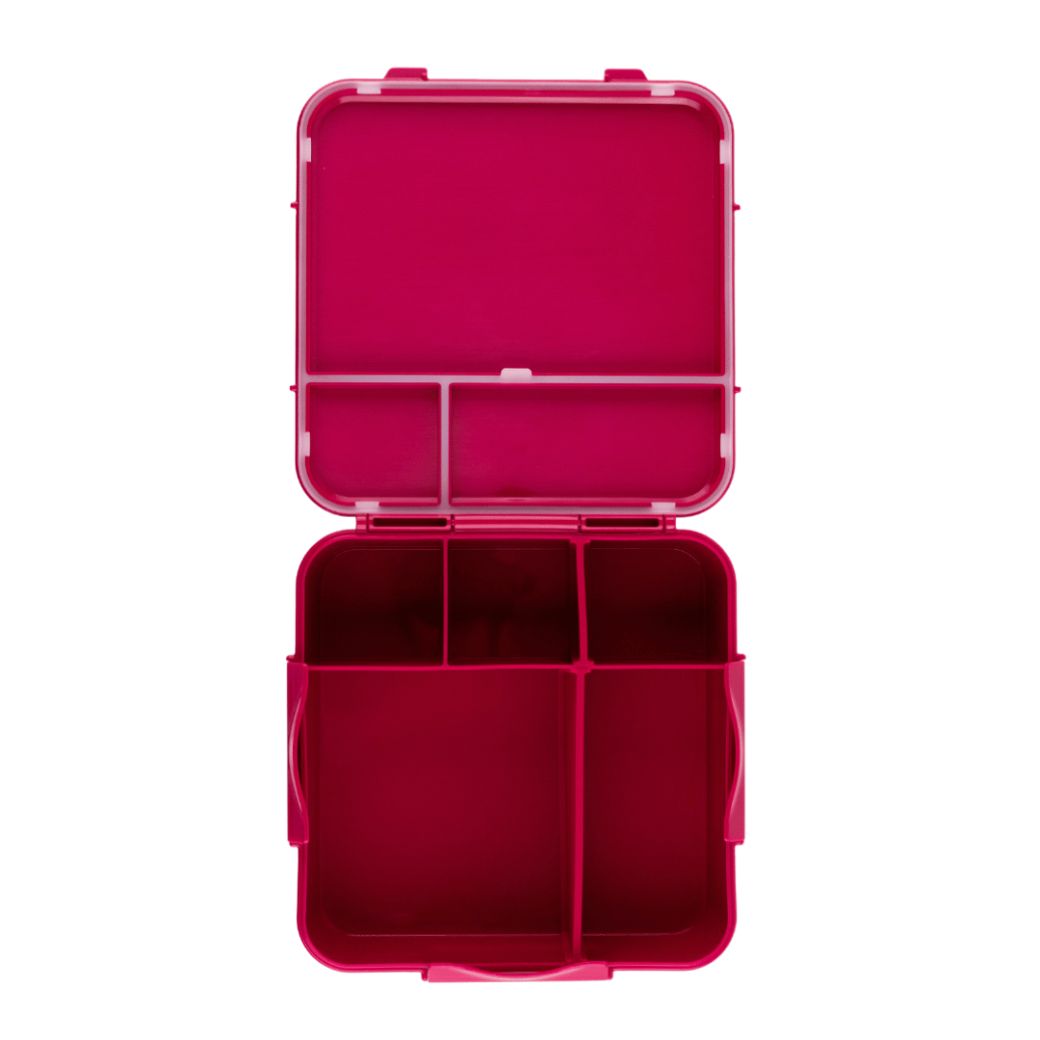 MontiiCo Bento Plus