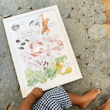Baby sitting with a white framed print of numbers and colours with hand-illustrated watercolor at